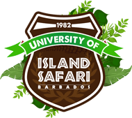 university of island safari crescent 